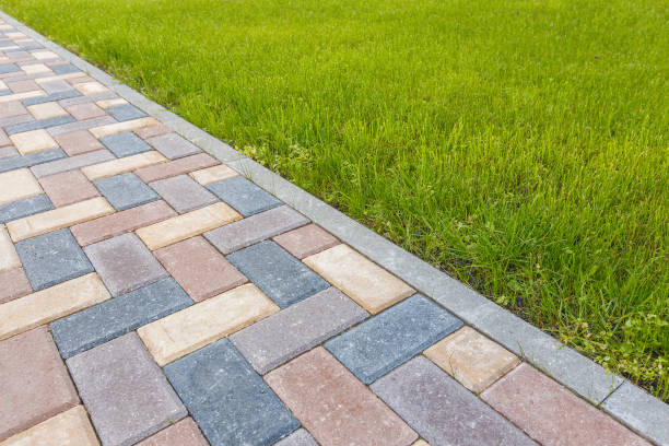 Best Commercial Driveway Pavers  in Elm Springs, AR